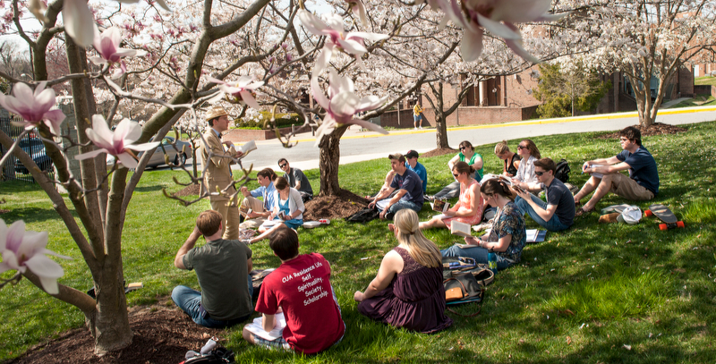 Class Under Cherry Blossoms