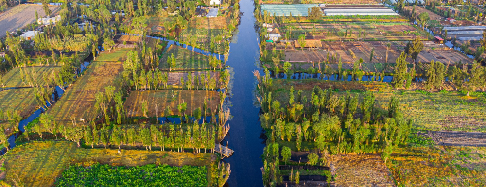 Farmland Irrigation